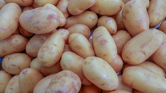 土豆出售水果蔬菜市场