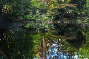 拱形木桥观赏花园池塘