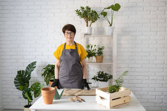 春天室内植物护理报告室内植物醒着的室内植物春天中间岁的女人移植植物能首页园丁移植植物Spathiphyllum