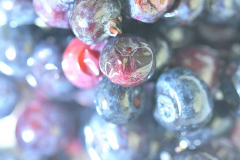 蓝莓背景浆果前视图散焦蓝莓背景纹理越桔平设计水平宏图像