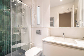 浴室拥有新鲜的现代结合绿色白色瓷砖光滑的淋浴宽敞的水槽大镜子散热器反映了