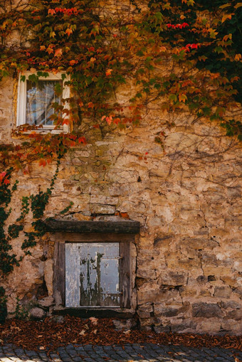 古董乡村德国破旧的小房子色彩斑斓的grapevine-covered墙秋天红色的叶子维吉尼亚州爬虫他来了摘要古老的杂草丛生的房子蓝色的<strong>木窗</strong>口通过