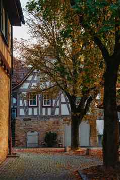 结构房子德国风景优美的视图古老的中世纪的城市街体系结构木架房子小镇德国