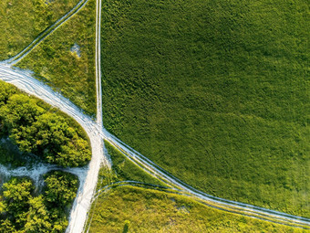 空中视图绿色小麦场路农村场小麦吹风日落年轻的绿色小穗耳朵大麦作物自然农学行业食物生产