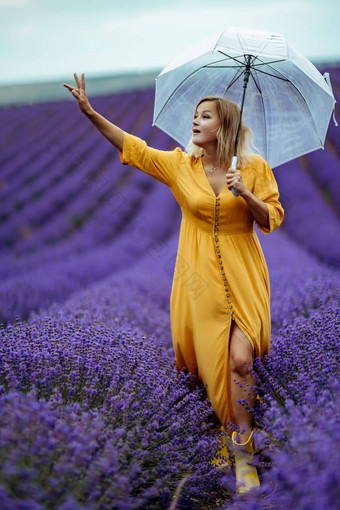 中年女人<strong>薰衣草</strong>场走伞多雨的一天享受芳香疗法芳香疗法概念<strong>薰衣草</strong>石油照片会话<strong>薰衣草</strong>