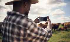 谁mooood照片拍摄男人。智能手机图片牛农场