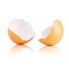 蛋壳牌孤立的白色破碎的蛋壳牌孤立的白色