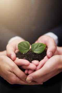 合作确保增长业务集团商人持有植物日益增长的土壤