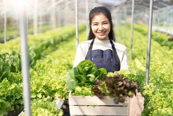 肖像亚洲农民年轻的女人持有篮子蔬菜农场有吸引力的农业家站持有携带盒子蔬菜水培微笑相机绿色房子农场