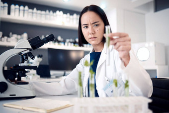 科学家女人测试管实验室植物农业食物安全转基因生物表格显微镜亚洲科学专家研究增长叶子幼苗实验室分析东京