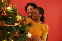 爱装修树爱的年轻的夫妇装修圣诞节树