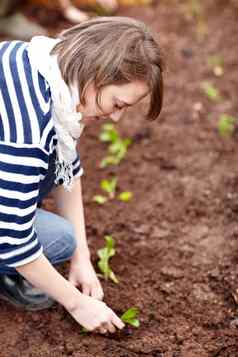 工作蔬菜花园休闲年轻的女人种植幼苗蔬菜花园
