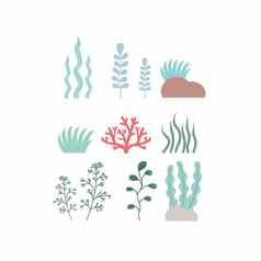 集海藻珊瑚白色背景剪纸艺术藻类海洋植物集图标卡通向量插图