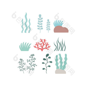 集海藻<strong>珊瑚</strong>白色背景<strong>剪纸</strong>艺术藻类海洋植物集图标卡通向量插图