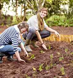 等待自收获年轻的夫妇种植幼苗蔬菜花园