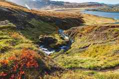 美丽的色彩斑斓的秋天风景河湖泊冰岛