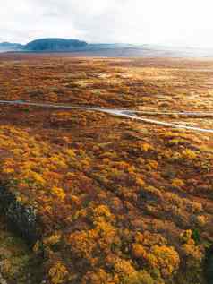 温暖的颜色秋天传播冰岛高地