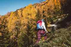 回来视图女登山者徒步旅行山槽秋天森林阳光明媚的秋天一天
