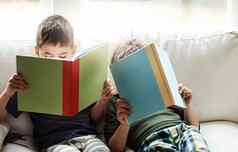 孩子们成键阅读书教育学习放松研究房子生活房间家庭首页沙发孩子们兄弟男孩讲故事童话小说幻想小说