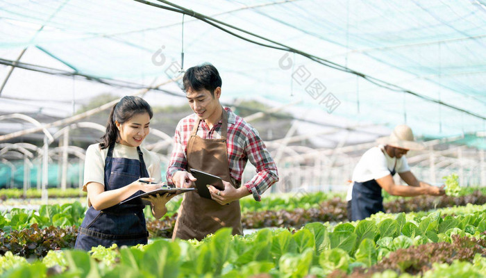 年轻的亚洲农民工作蔬菜水培农场幸福肖像男人。女人农民农场