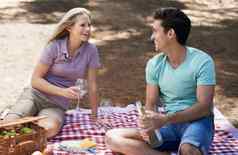完美的视图快乐年轻的夫妇夏天野餐享受庆祝喝