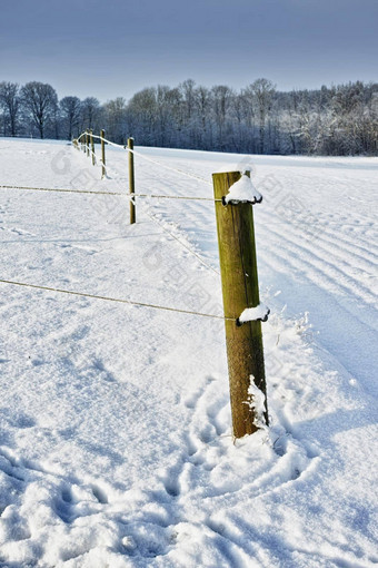 冷淡的栅栏栅栏路边冰雪覆盖景观