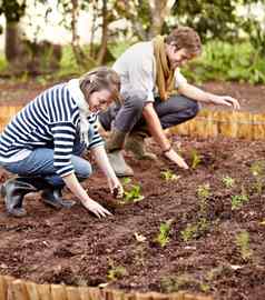 间距关键成功的种植年轻的夫妇种植幼苗蔬菜花园