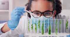 使发现世界植物学年轻的科学家工作植物样品实验室