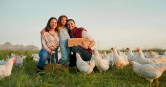 农场鸡肖像家庭牲畜农业可持续发展的绿色场生态家禽农业男人。女人女孩孩子农业能源生态友好的农村