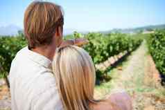骄傲家庭葡萄园后视图拍摄成熟的夫妇享受一天葡萄园