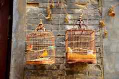 特写镜头图像色彩鲜艳的中国人古老的鸟笼融入挂灰色砖墙
