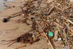 山浪费垃圾桑迪海滩潮人类污染海洋