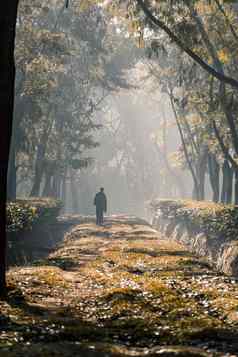 多雾的早....人走树花园路