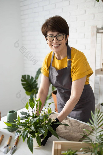 园艺首页女人种植浇水绿色植物浇水首页盆栽绿色植物首页首页丛林花装饰花店商店概念