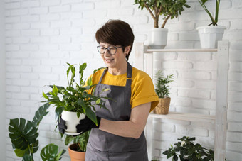 园艺首页女人种植浇水绿色植物浇水首页盆栽绿色植物首页首页丛林花装饰花店商店概念