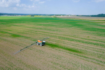 拖拉机驱动器场流程小麦健康的收获