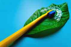 绿色叶花谎言明亮的牙刷塑料支架特写镜头蓝色的背景
