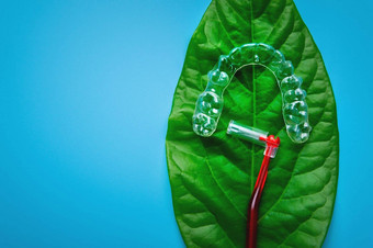 多汁的绿色叶谎言塑料透明的支架红色的<strong>牙齿</strong>之间的刷牙科化妆品护理