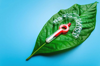 多汁的绿色叶谎言塑料透明的支架红色的牙齿之间的刷牙科化妆品护理