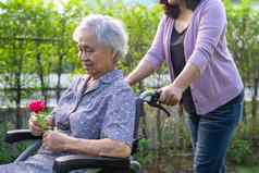 照顾者女儿拥抱亚洲高级上了年纪的夫人女人持有红色的玫瑰轮椅公园