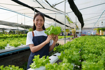 亚洲业务老板观察到的日益增长的<strong>有机</strong>水培法农场日益增长的<strong>有机</strong>蔬菜<strong>绿色</strong>能源概念