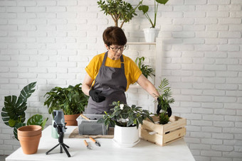 中间岁的女人博主前面智能手机相机三脚架记录教学教程视频博客芽过程种植花绿色植物完整的土壤享受植物爱好