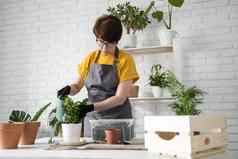 女人园丁移植室内植物浇水绿色植物锅木表格复制空间空的地方文本概念首页花园护理植物花盆