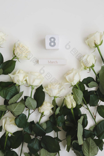 3月女人一天背景白色玫瑰的地方文本白色背景前视图