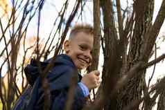 肖像快乐的男孩收集树分支机构