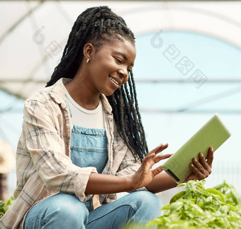 快乐农民无线数字设备年轻的农民检查植物平板电脑非洲美国农民检查植物增长农场工人温室花园平板电脑