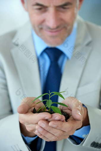 <strong>卑微</strong>的开始伟大的成功成熟的商人持有小植物日益增长的土壤