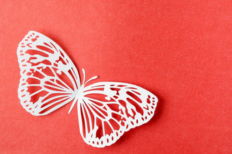 纸蝴蝶雕刻红色的背景空空间