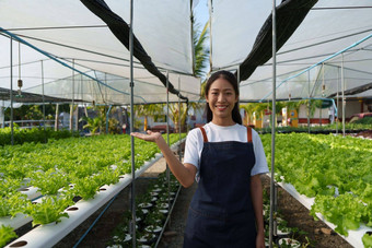 亚洲业务老板观察到的日益增长的有机水培法农场日益增长的有机蔬菜绿色能源概念