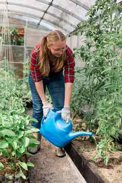 女人花园浇水水域植物绿色西红柿园艺温室概念